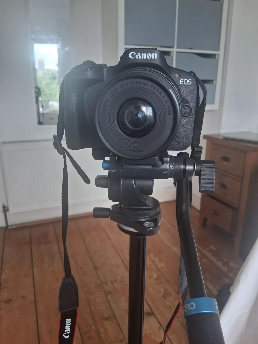 Canon Professional Camera, Lens and Tripod - Image 1