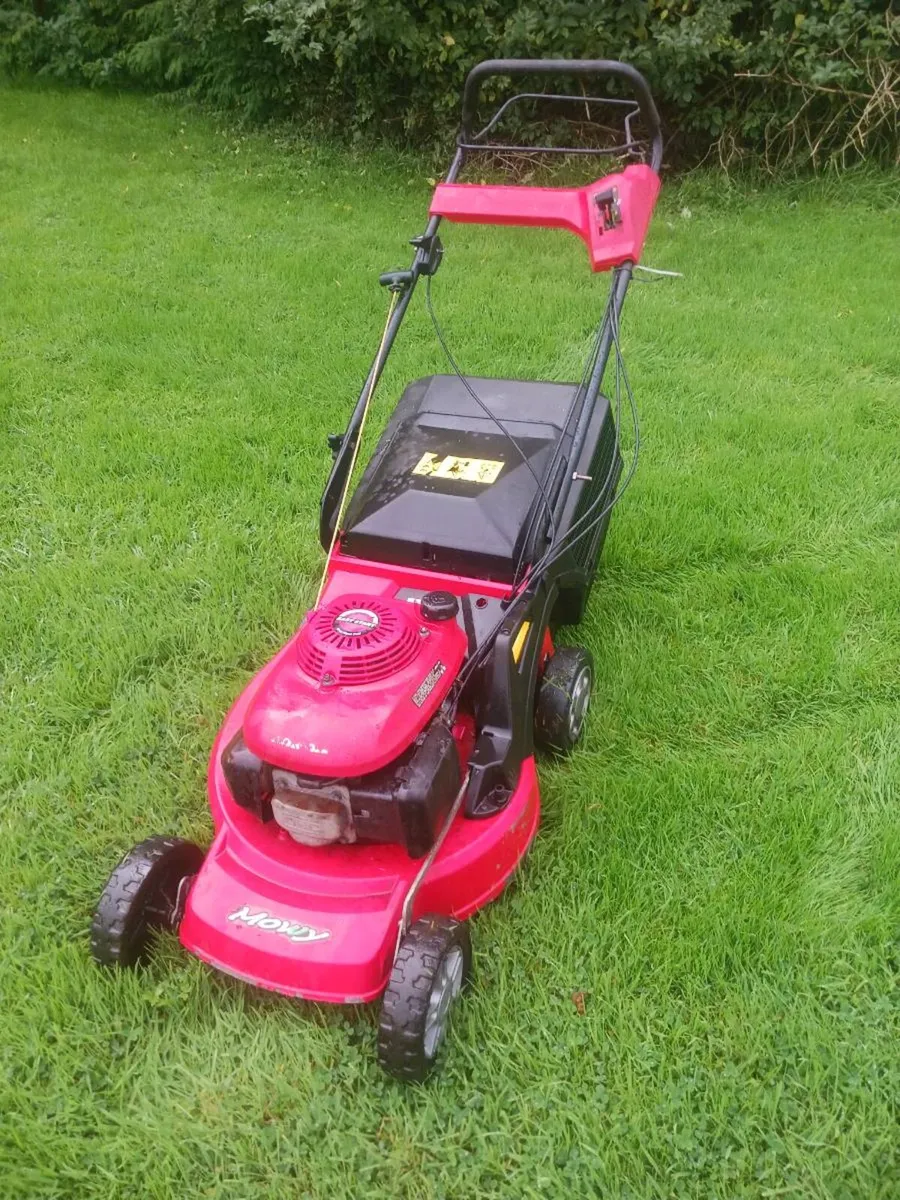 Lawnmower - Image 1