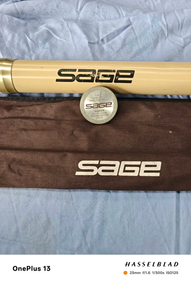 Fly rod - Image 1