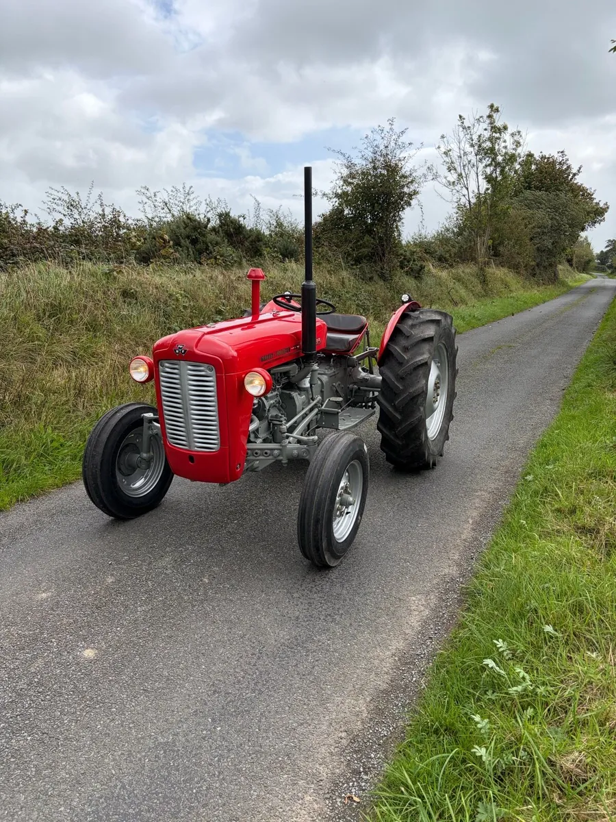 Massey Ferguson 35 - Image 2
