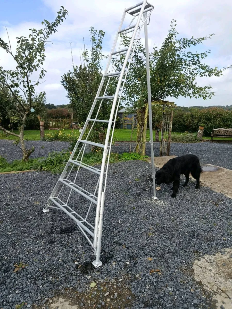 10ft Hendon Tripod Ladder - Image 1