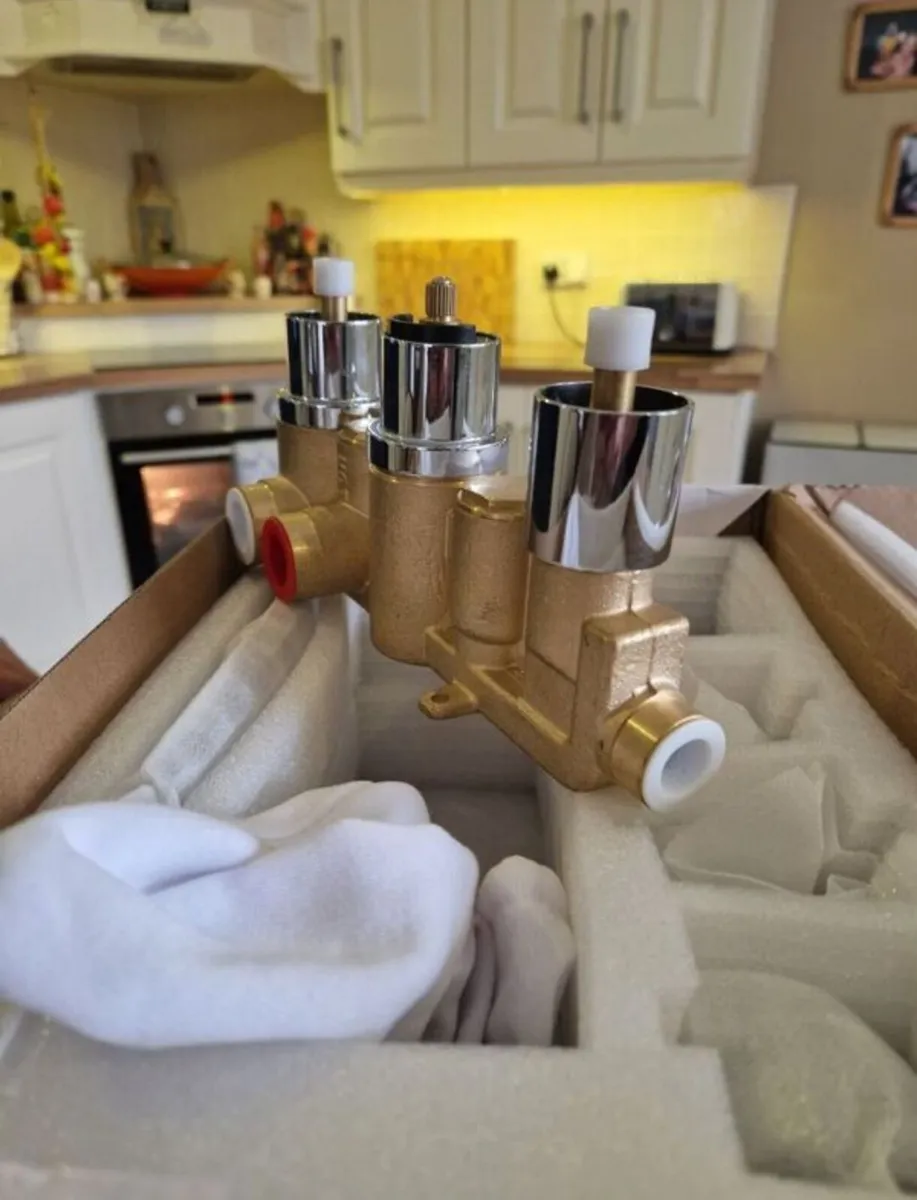 Shower Value - Image 1