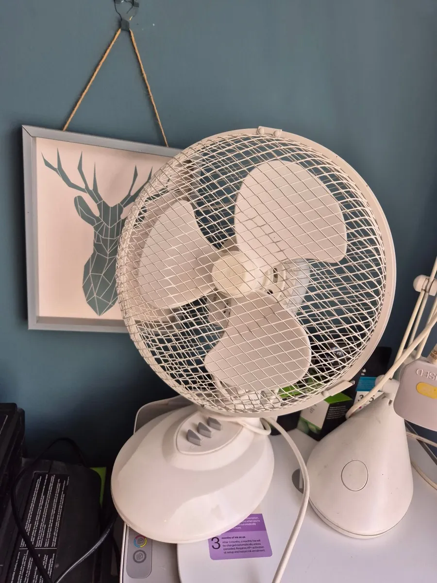 Desk Fan