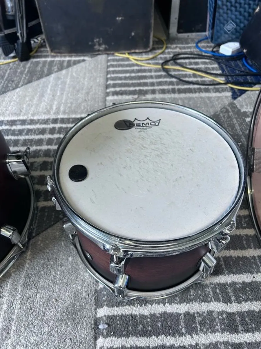 Pearl Decade Maple - Image 2