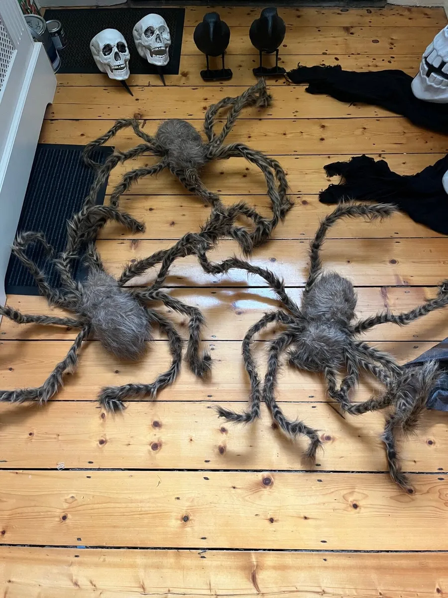 Halloween Decorations - Image 3