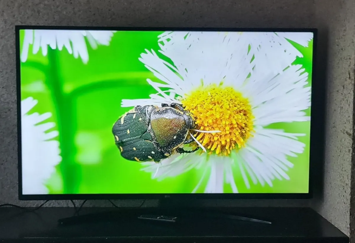 LG 50” 4K Smart TV Model: 50UM7450PLA - Image 3