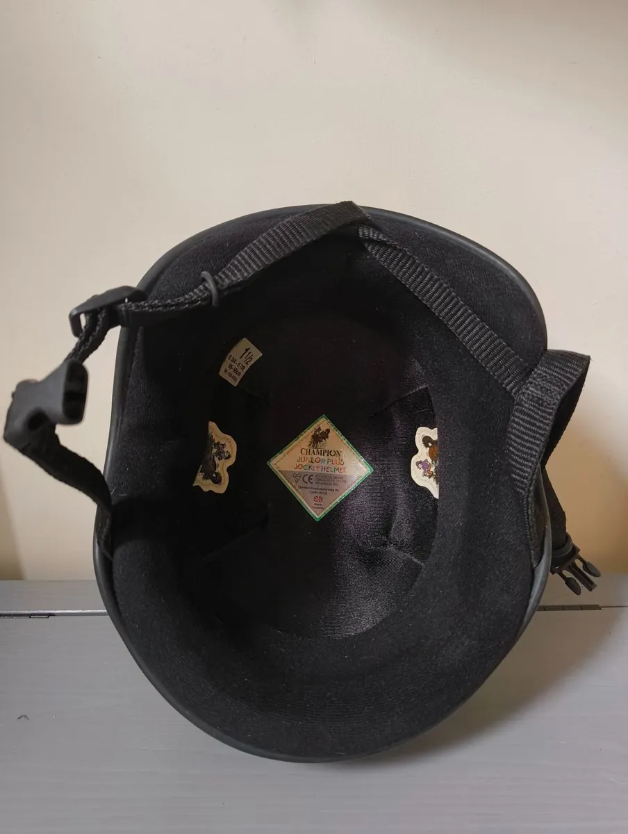 Champion Horse Riding Helmet - Image 3