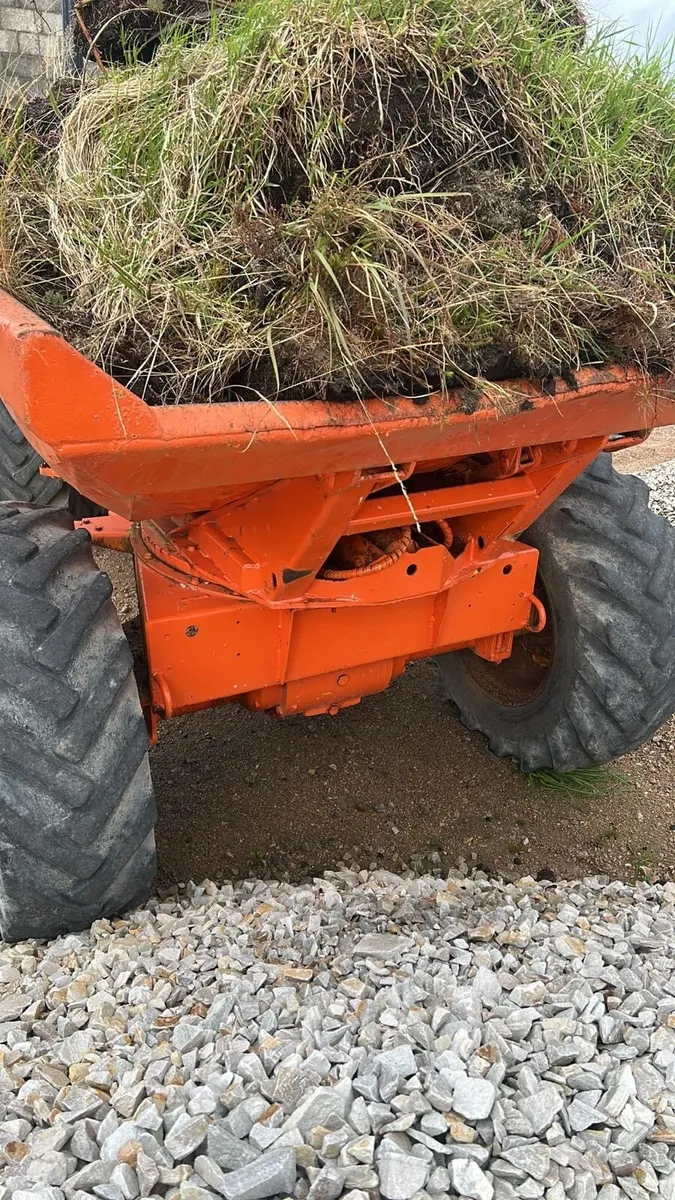 Dumper - Image 1