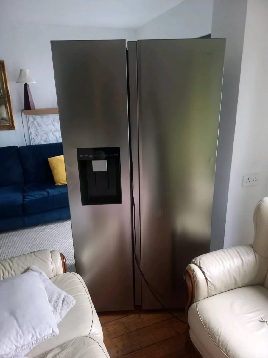 Hair American Fridge/Freezer - Image 1