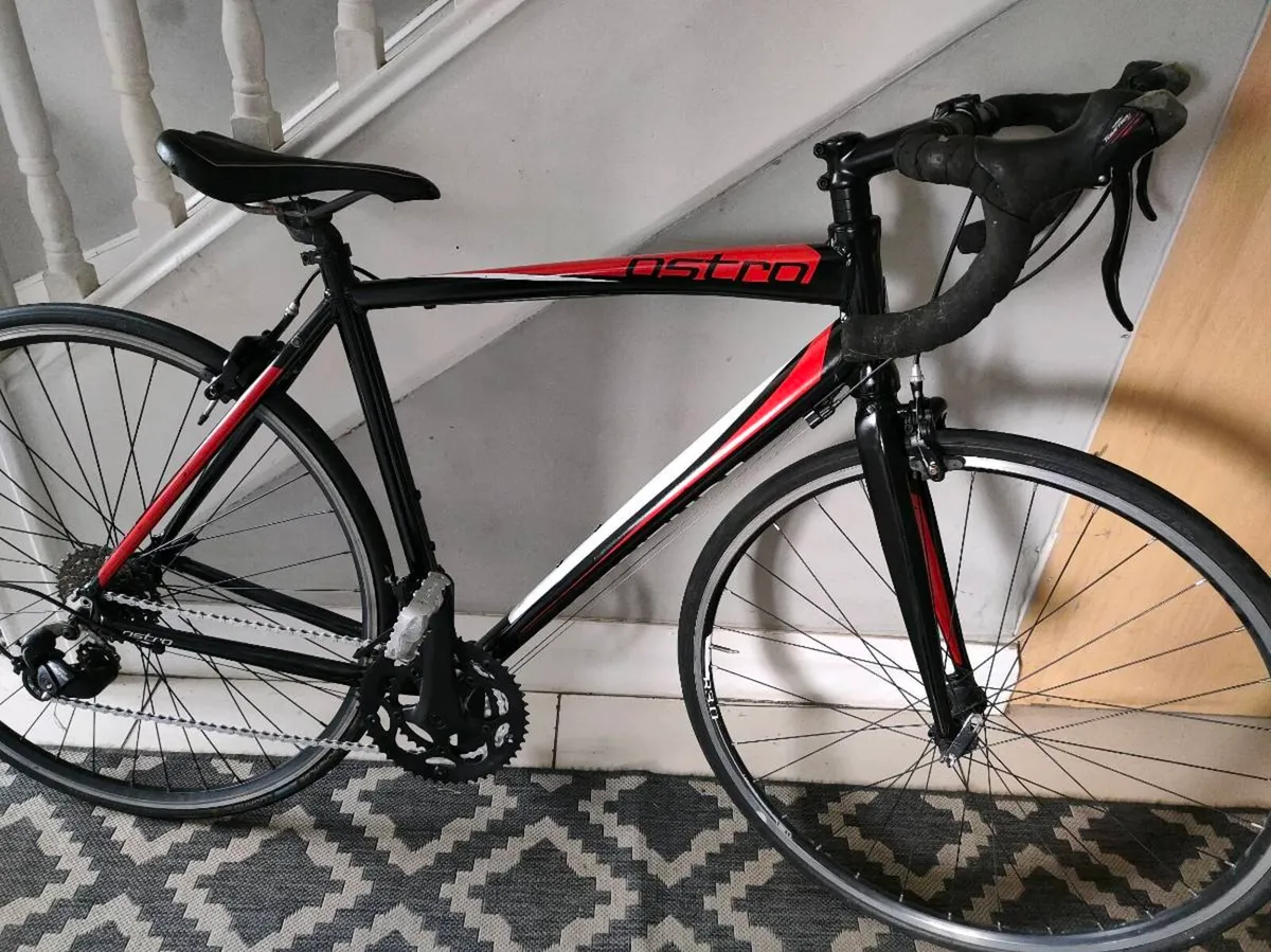 Adult Road Bike - Image 1