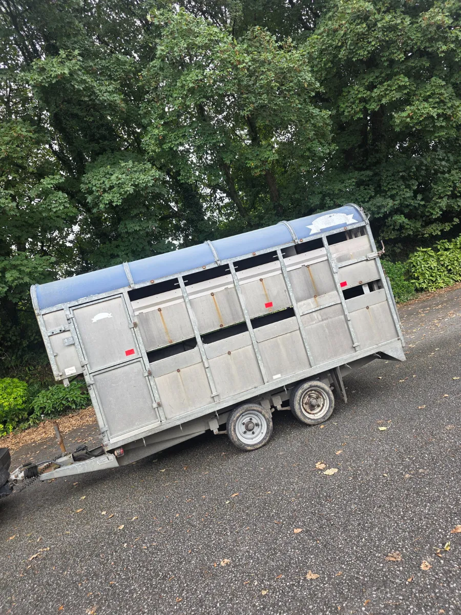12x6'trailer with Demountable body and sheep decks - Image 2