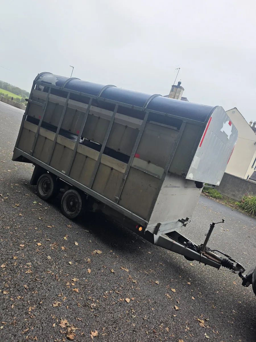 12x6'trailer with Demountable body and sheep decks - Image 1