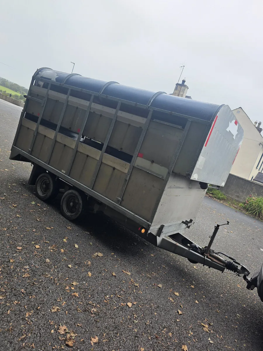 12x6'trailer with Demountable body and sheep decks - Image 4
