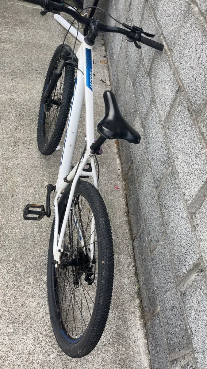 Carrera bike - Image 3