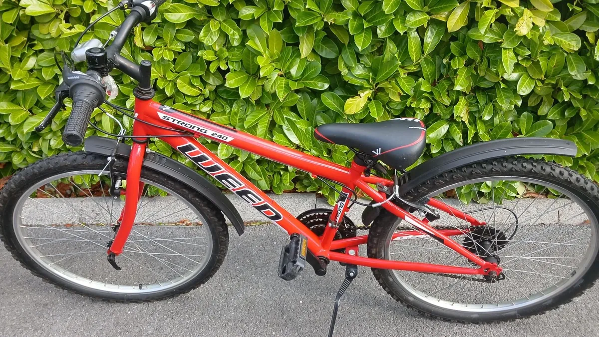 24" Bicycle - Image 1