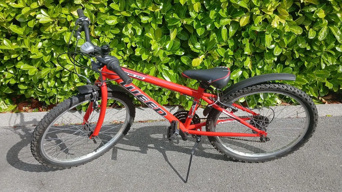 24" Bicycle - Image 3