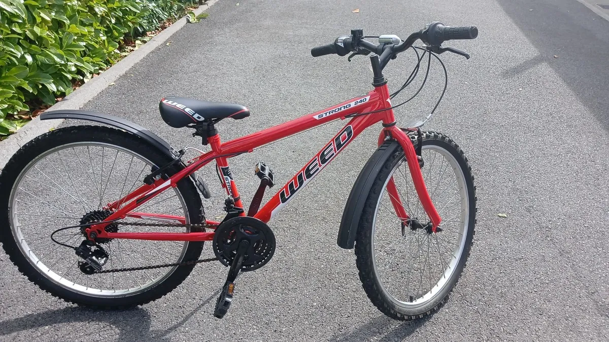 24" Bicycle - Image 4