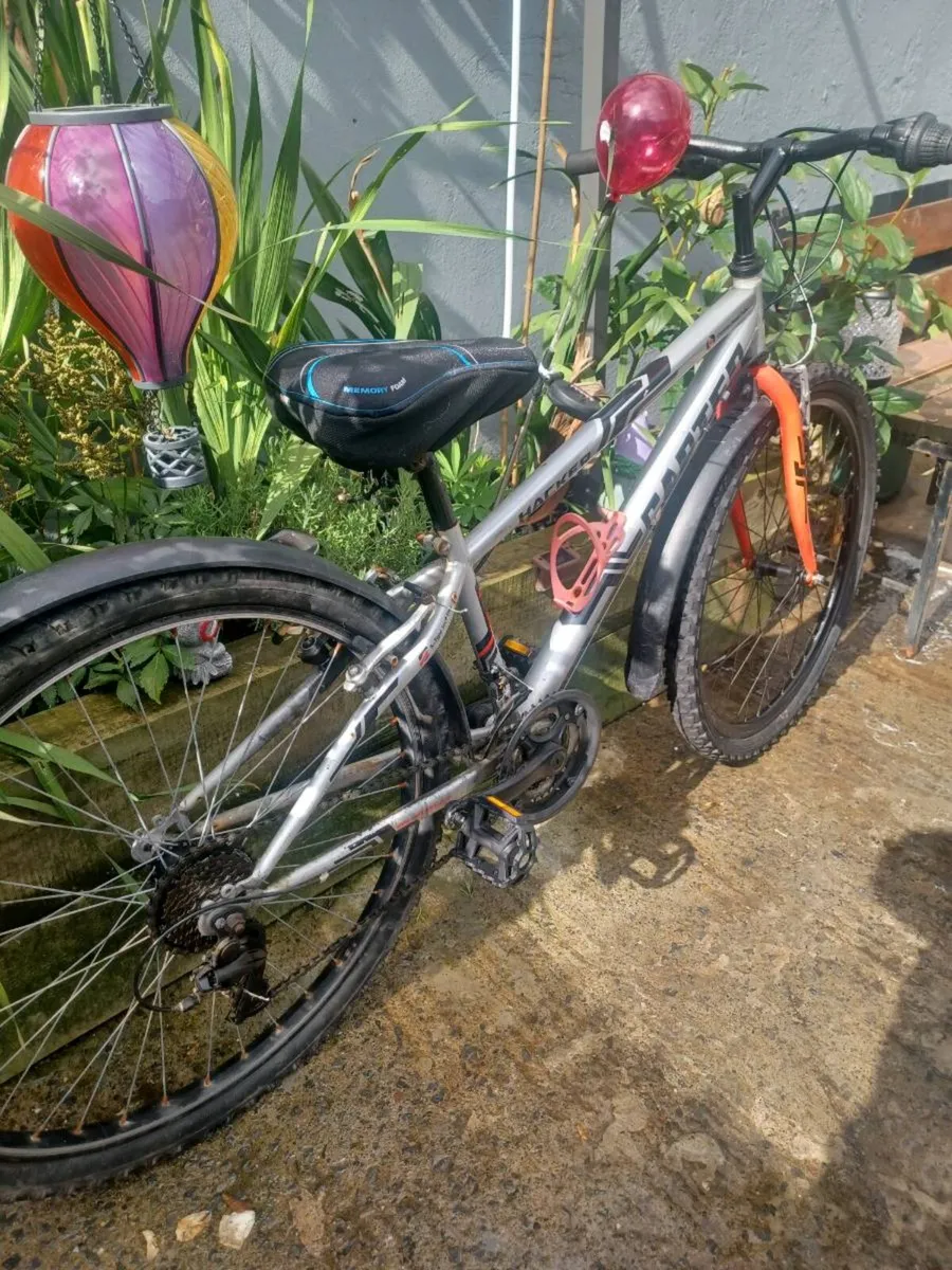 Carter bike - Image 2
