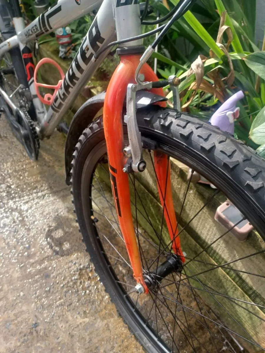 Carter bike - Image 4