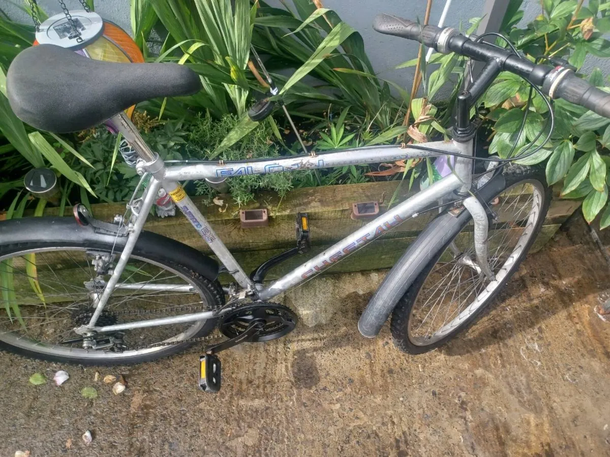 Falcon Mountain bike - Image 2