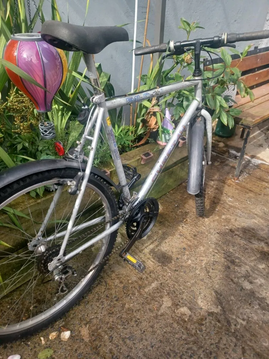 Falcon Mountain bike - Image 3