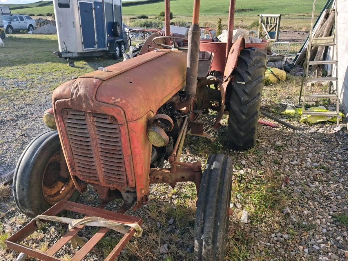 Massey ferguson - Image 1