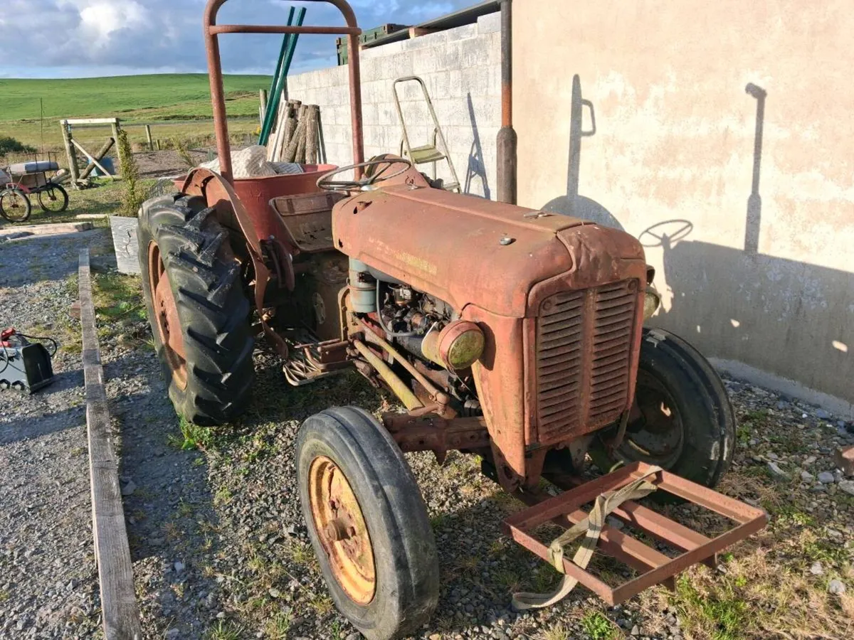 Massey ferguson - Image 2
