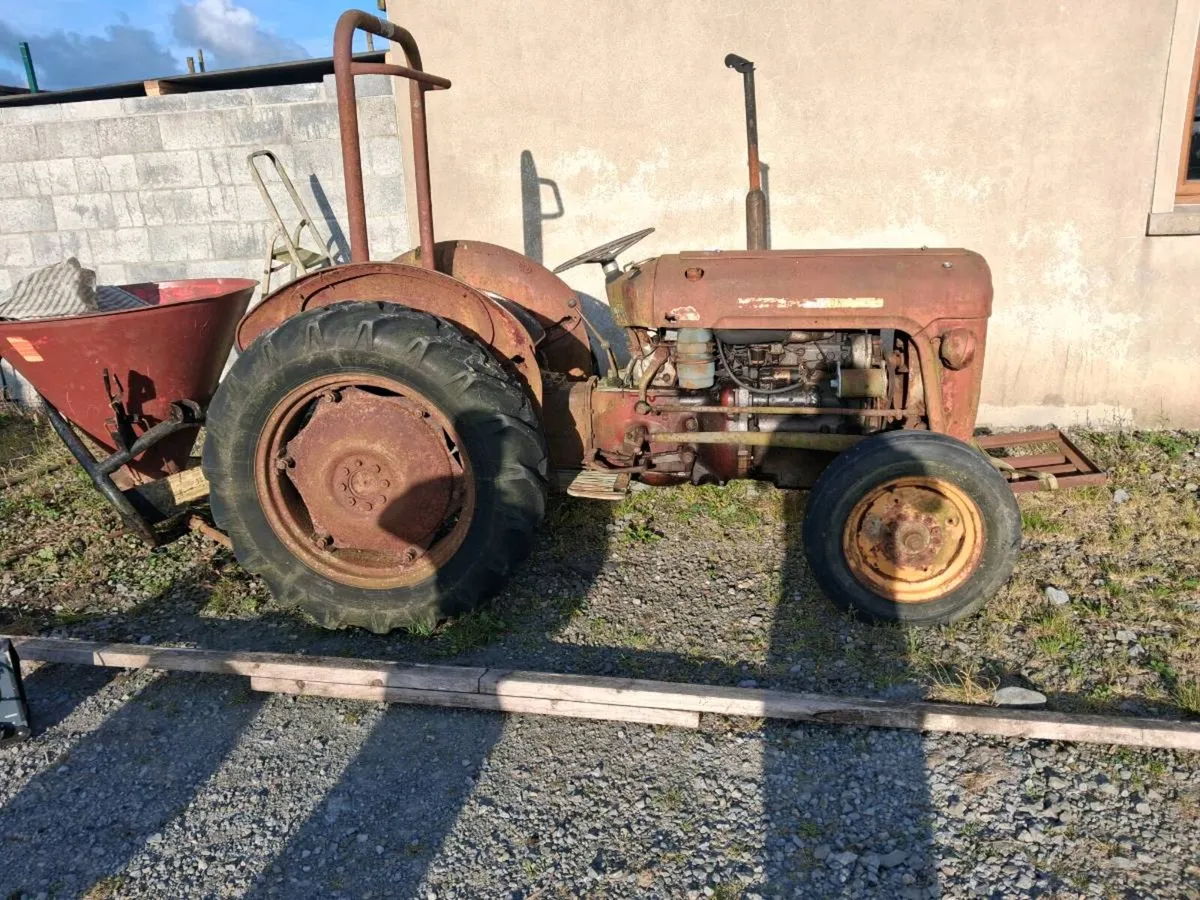 Massey ferguson - Image 3