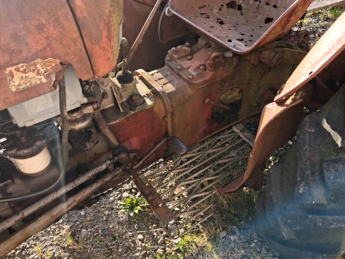 Massey ferguson - Image 4