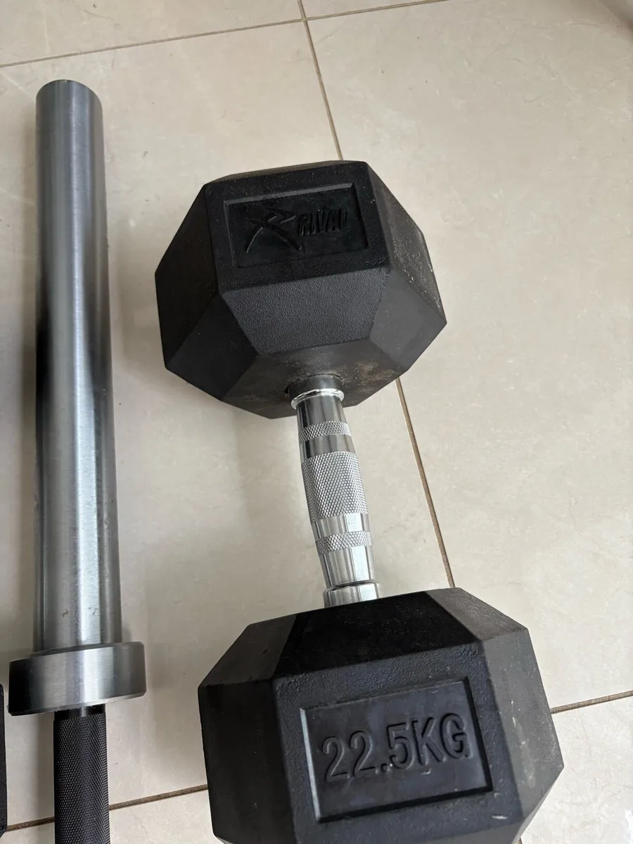 22.5Kg Dumbbells (Quantity 2)