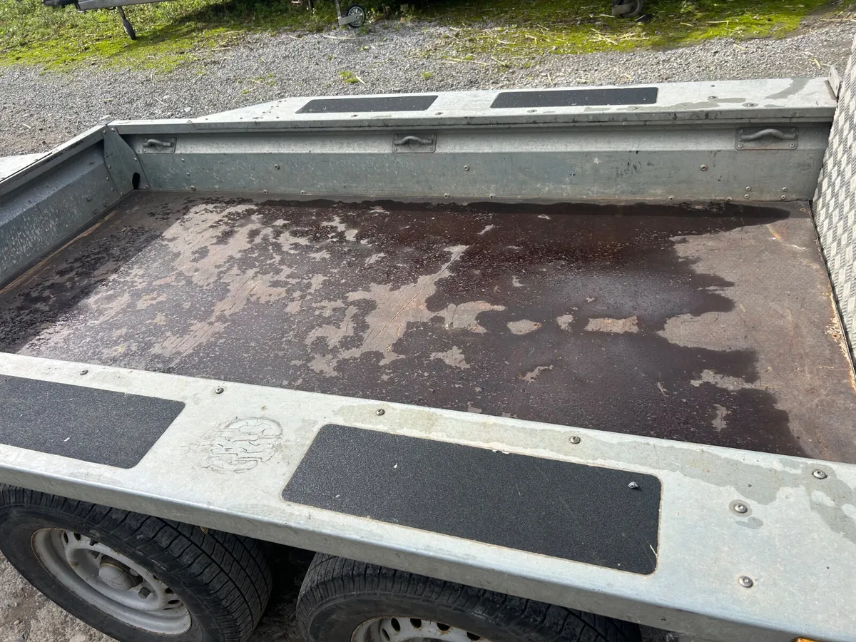 Ifor Williams 8x4 GX84 trailer with Ramp Door - Image 2