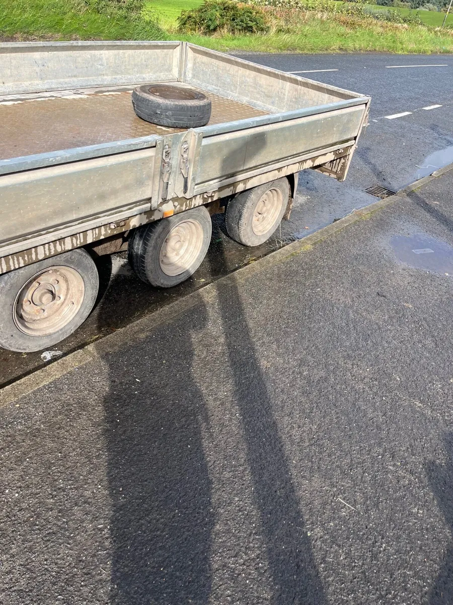 Nugent 14ft trailer - Image 4