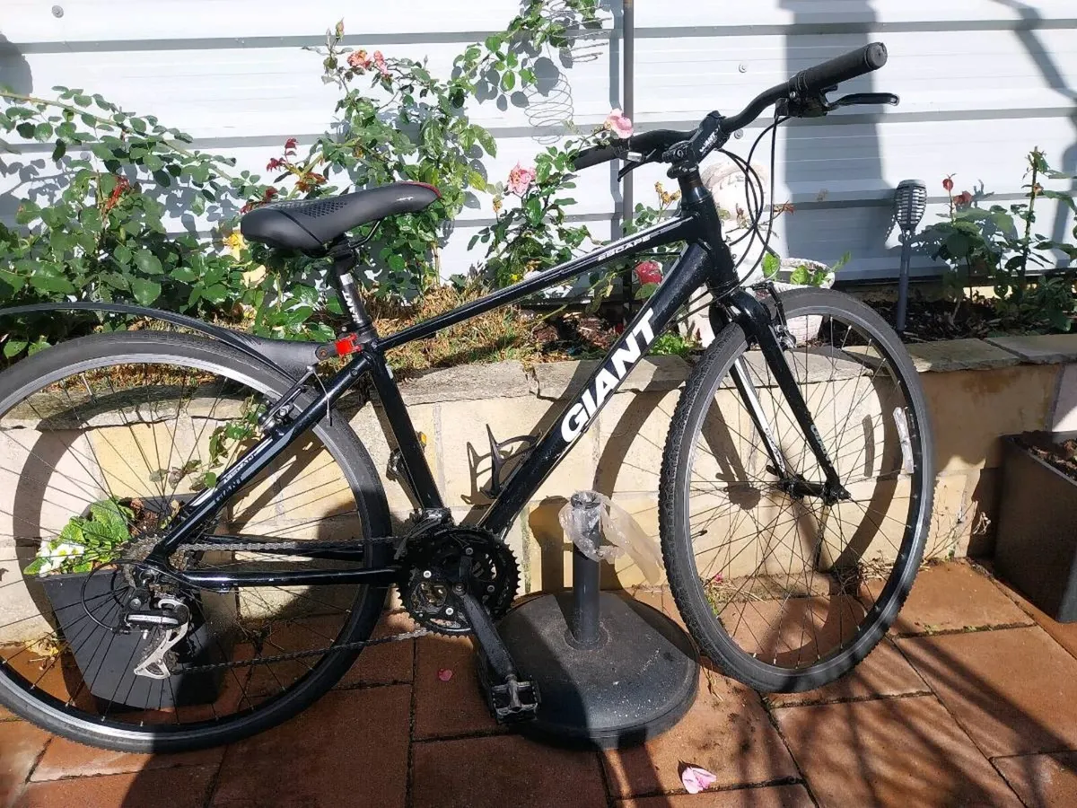 Giant escape hybrid - Image 2