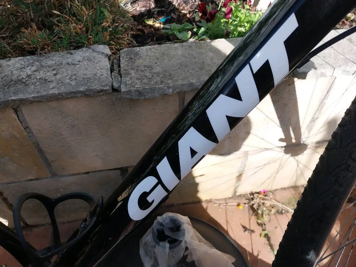 Giant escape hybrid - Image 3