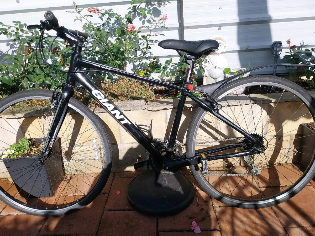 Giant escape hybrid - Image 1