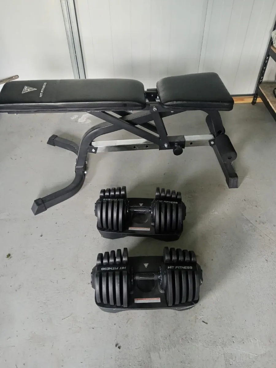 Adjustable Weights and Bench - Image 1