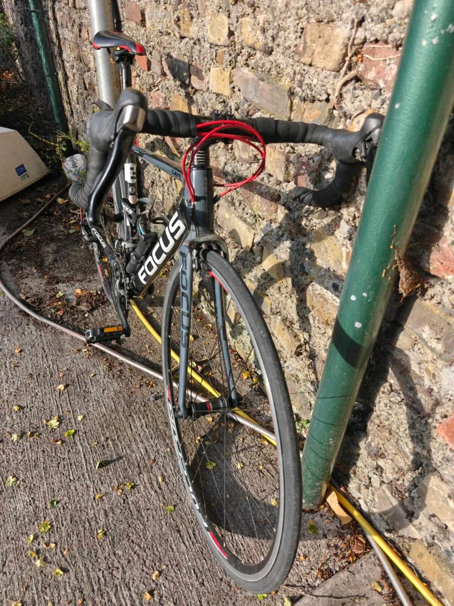 Cayo Focus Carbon Fibre Road Bike - Image 2