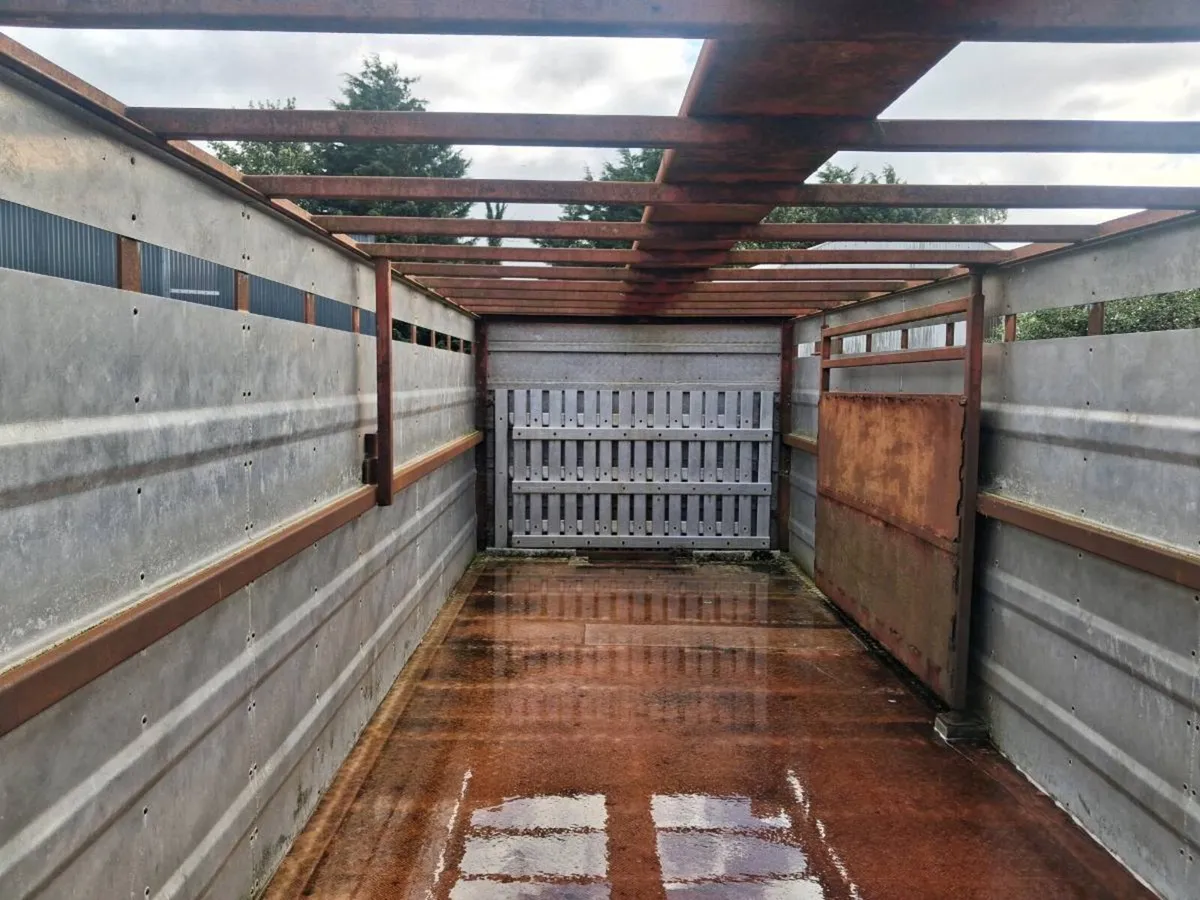 Cattle trailer - Image 4