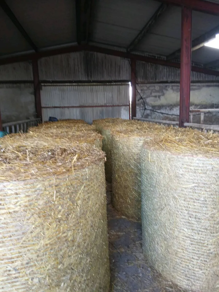 Oat & Straw Round Bales