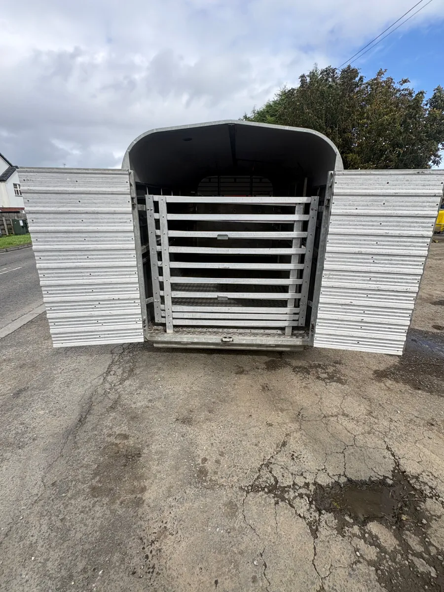Nugent 14ft cattle trailer - Image 4