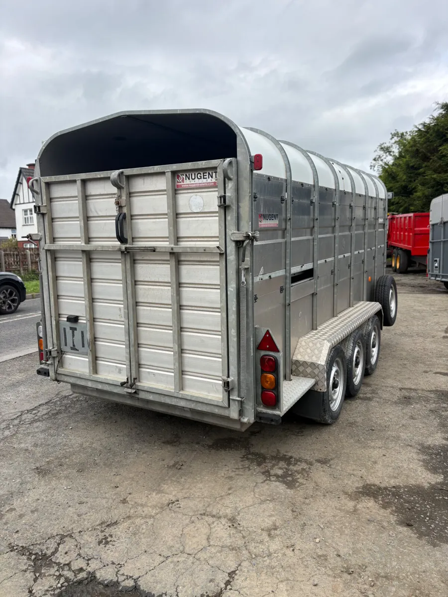 Nugent 14ft cattle trailer - Image 2