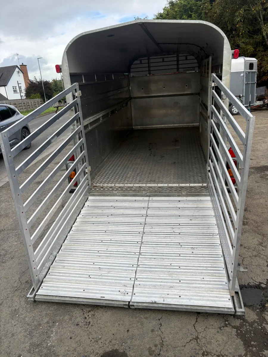 Nugent 14ft cattle trailer - Image 3