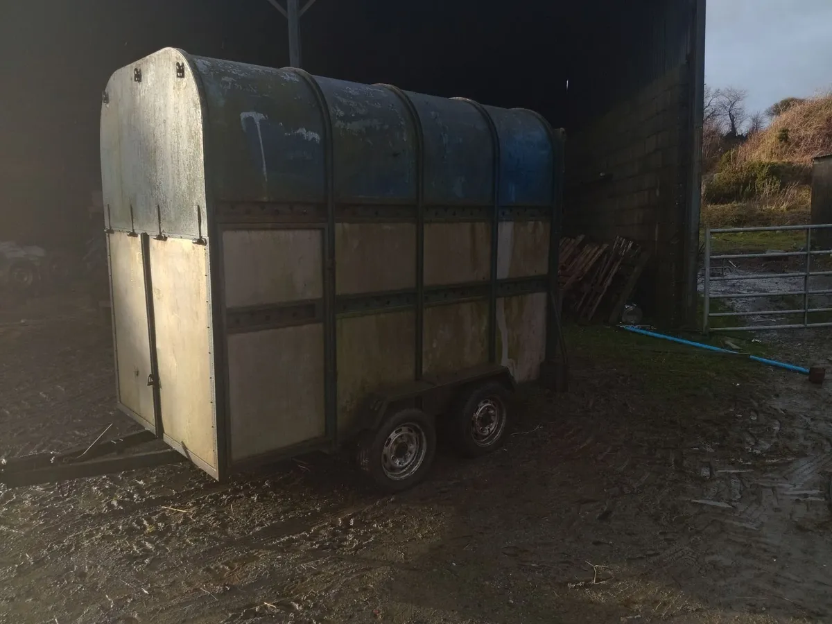 Cattle/horse box - Image 3