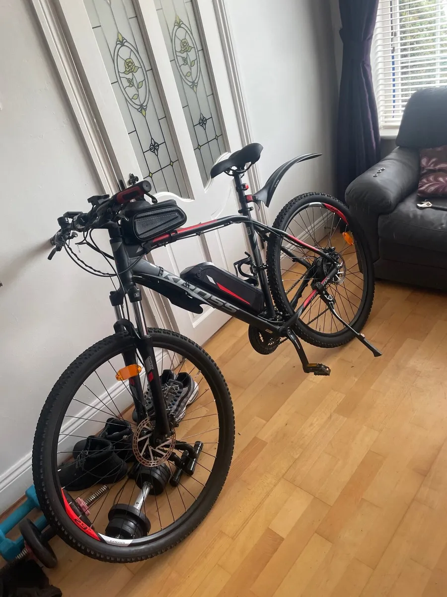 E bike - Image 2