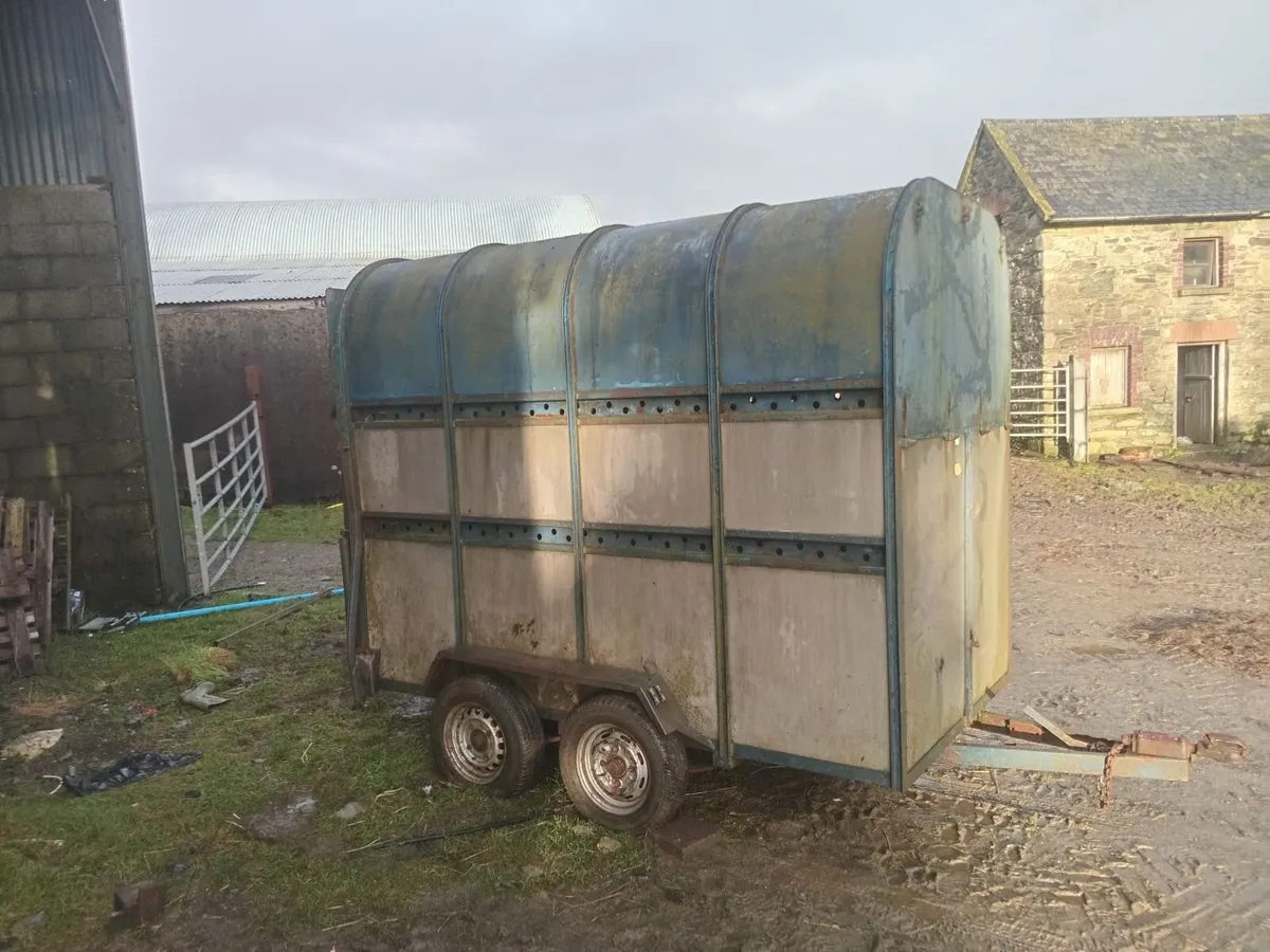 Cattle/horse box - Image 1
