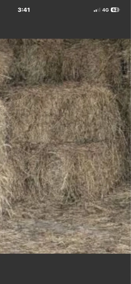 Square bales hay