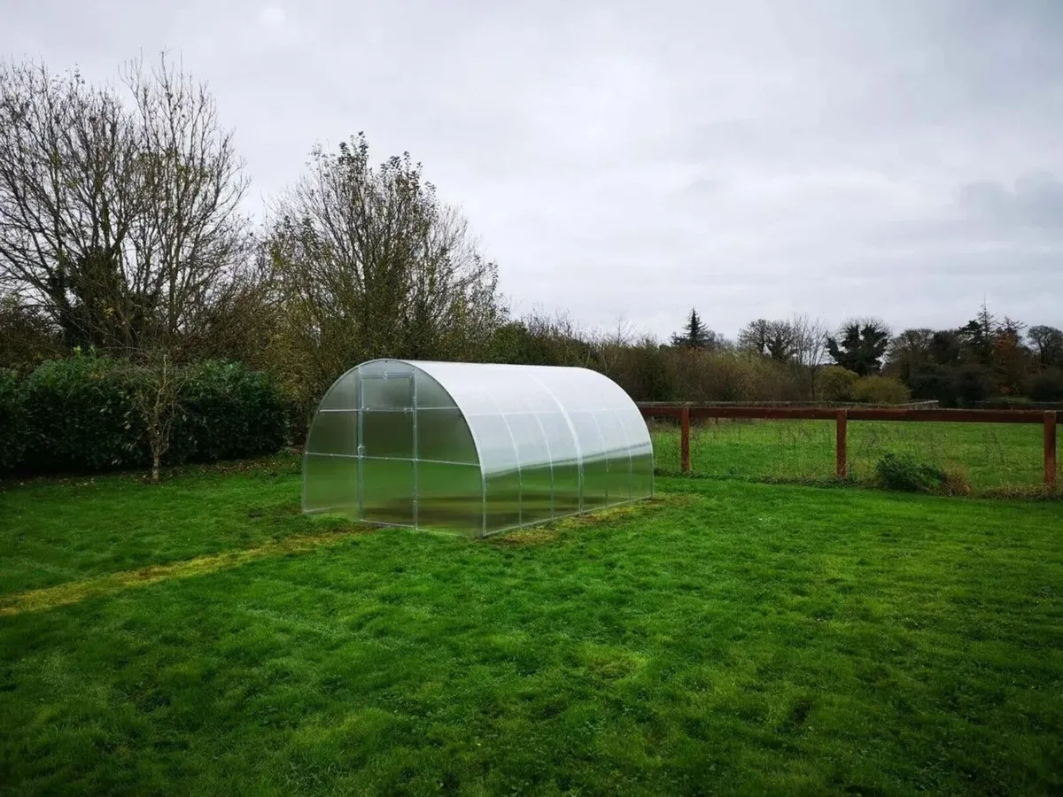 SALE 15% AG Polycarbonate Greenhouse/Polytunnel - Image 4