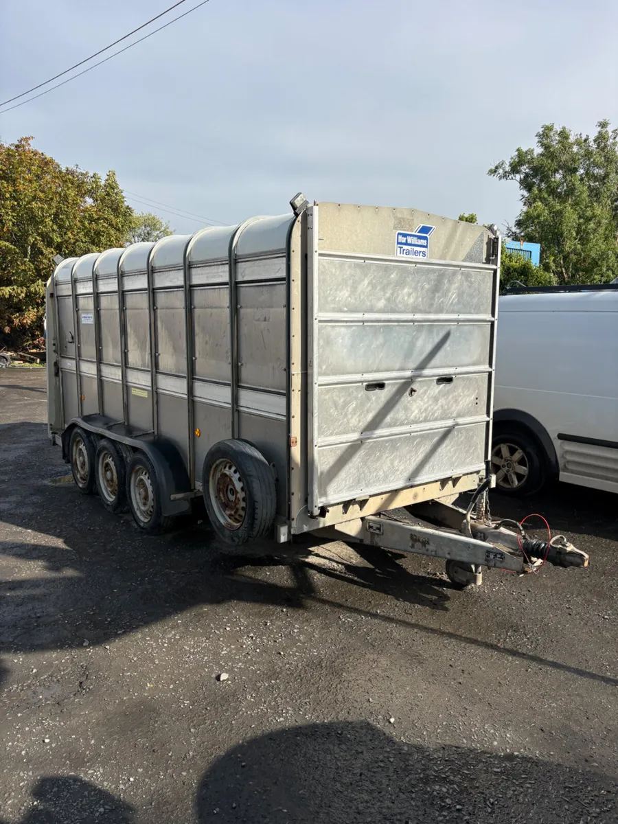 Ifor Williams 14ft cattle trailer - Image 1