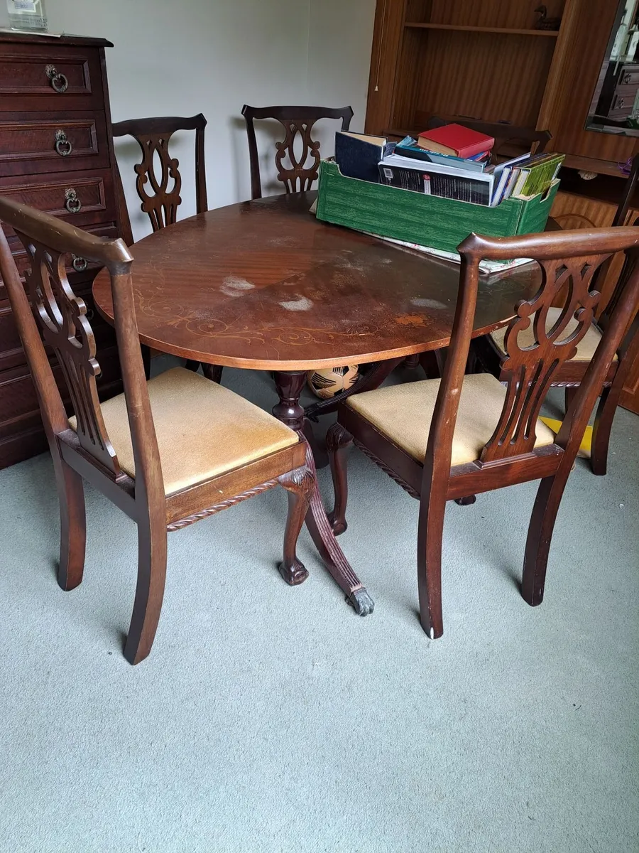 Antique diningroom chairs