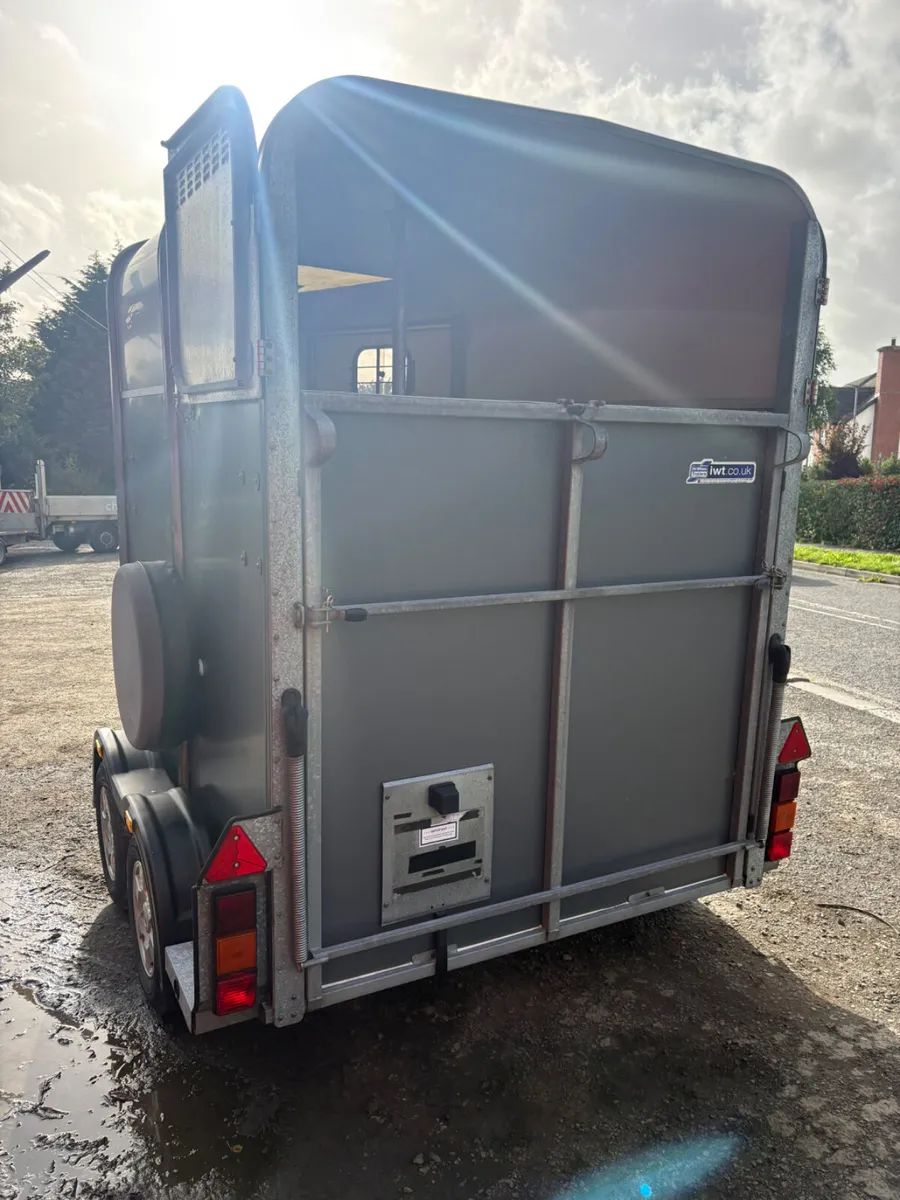 Ifor Williams 505 epona horsebox - Image 3